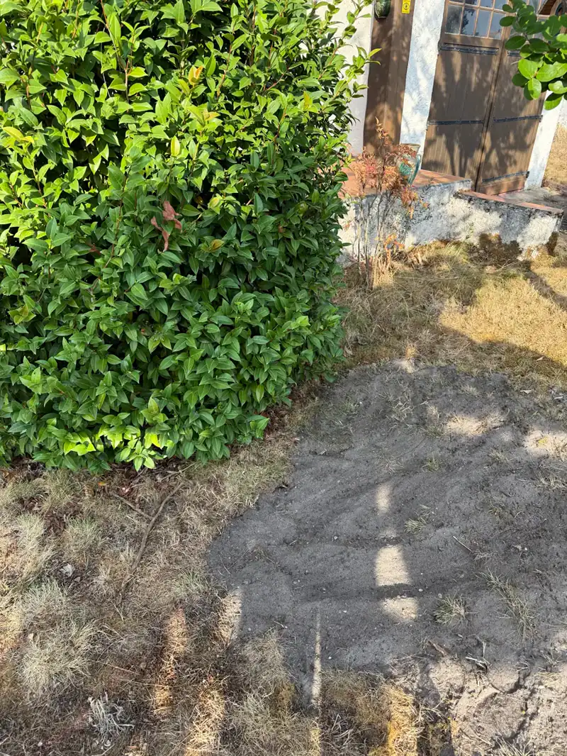 Le même jardin, terrain rebouché après l'intervention
