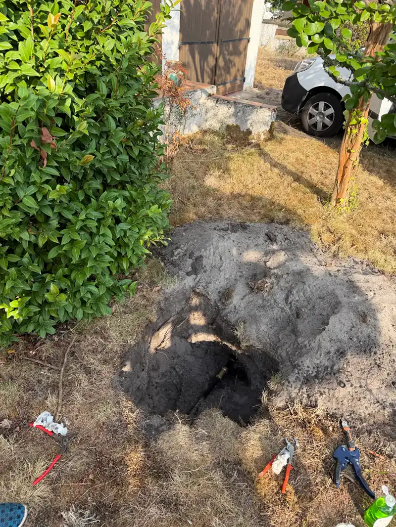 Ouverture limitée dans un jardin, au point de fuite